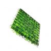 Neu Rasen Gras Aquarium Künstliche Pflanzen Wasserpflanzen Fish Deko Dekoration – Bild 6