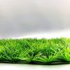 Neu Rasen Gras Aquarium Künstliche Pflanzen Wasserpflanzen Fish Deko Dekoration – Bild 7