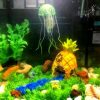 Mini Rasen Gras Matte Aquarium Künstliche Pflanze Wasserpflanzen Deko Dekoration – Bild 5