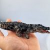 Fake Krokodil Dekoration Künstliche Kroko Witz Scherzartikel Aligator – Bild 4